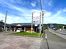 芥